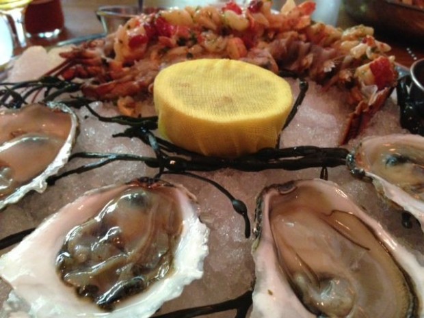 Dutch oysters