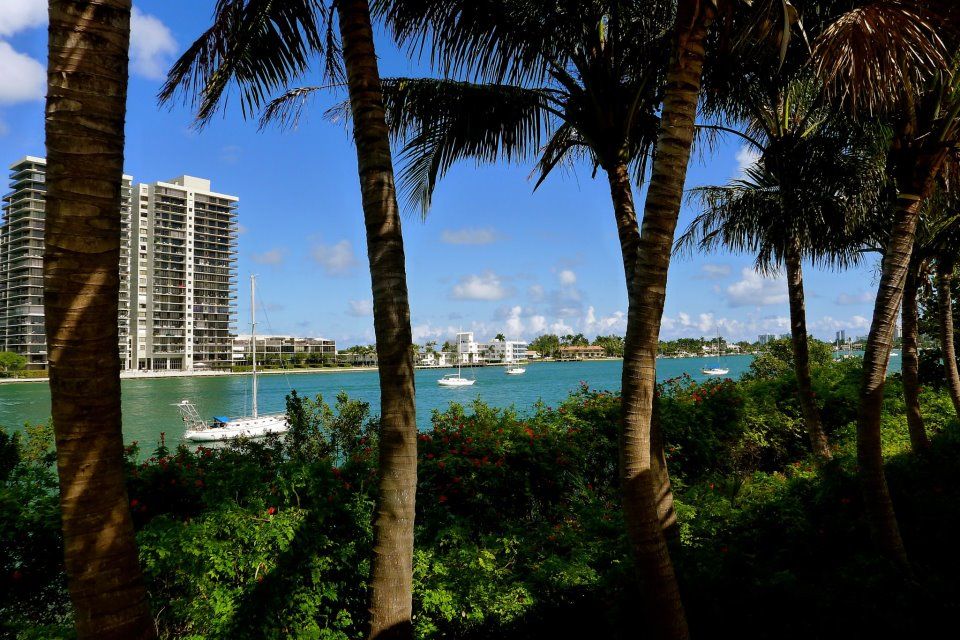 Jungle Island view