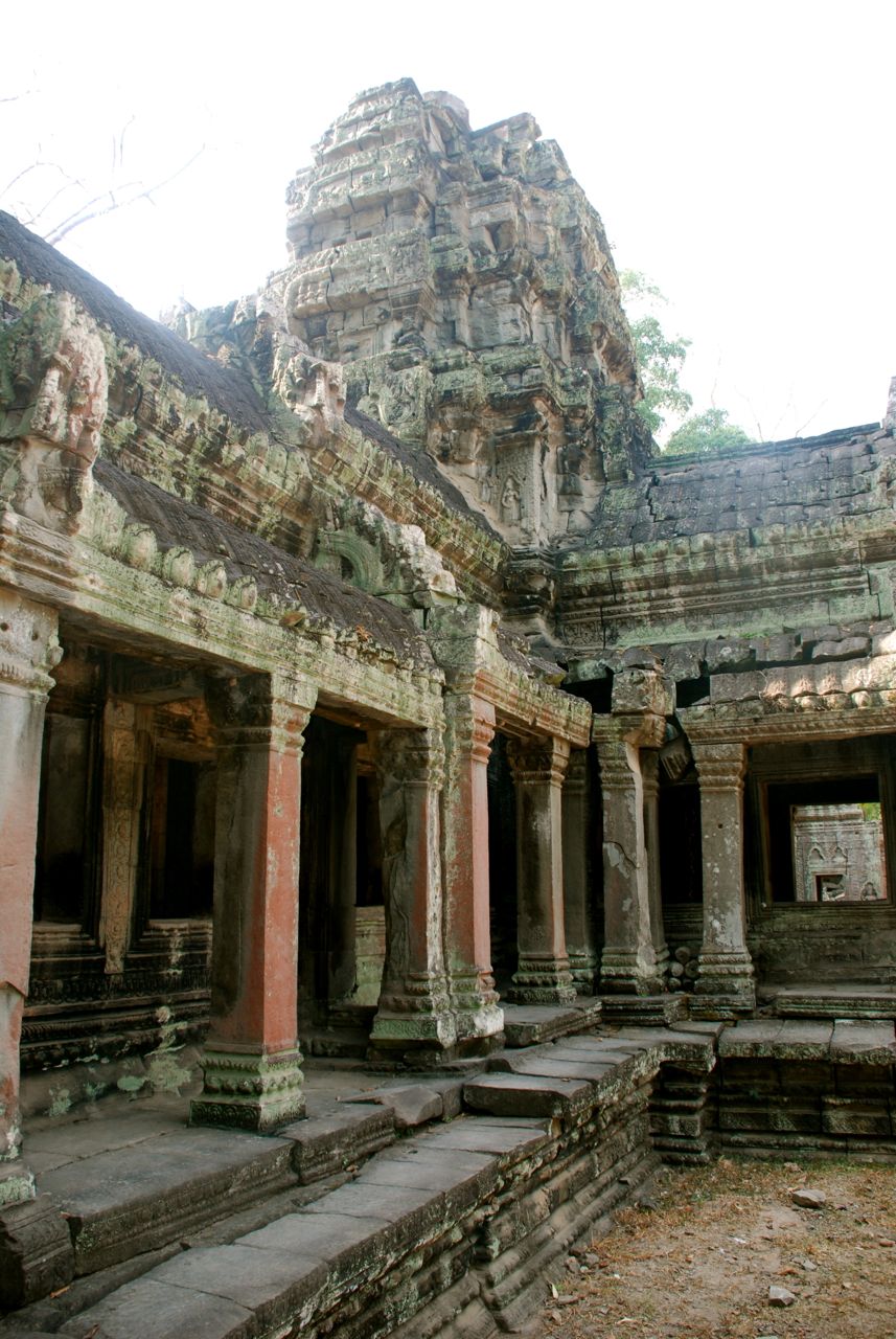Ta prohm coluna