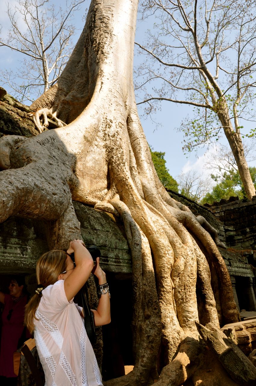 Ta prohm foto