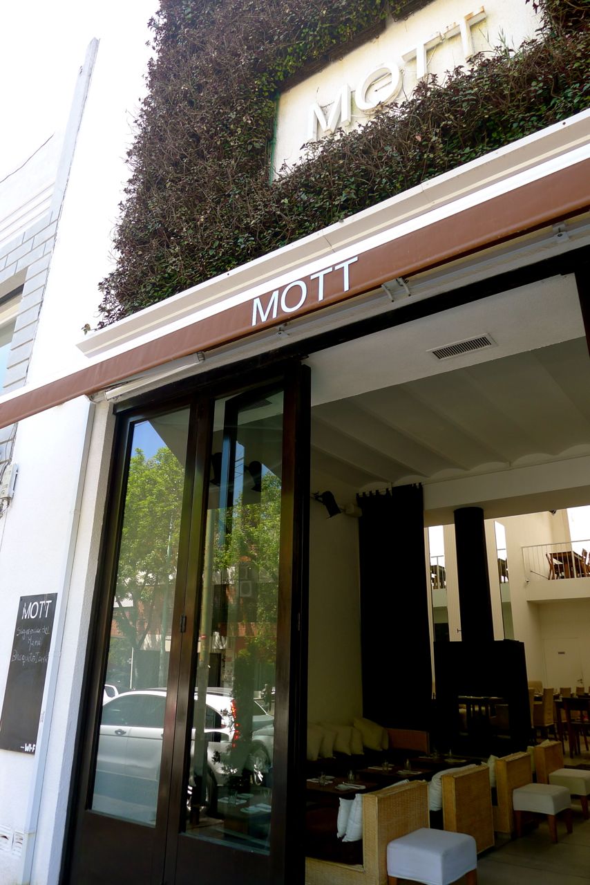 Mott dentro