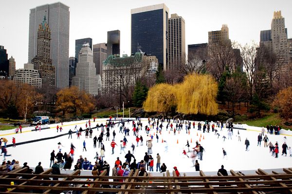 Rink Wollman