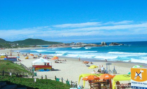 Floripa Mole