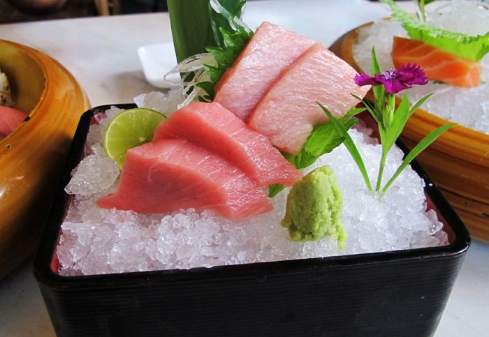 Makoto Sashimi