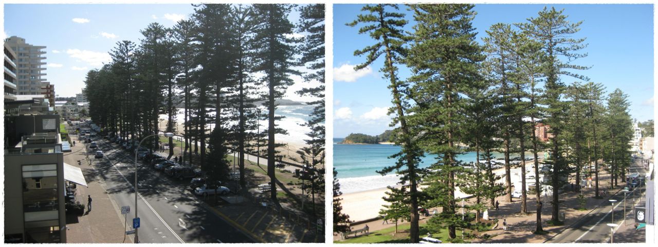 Manly 3