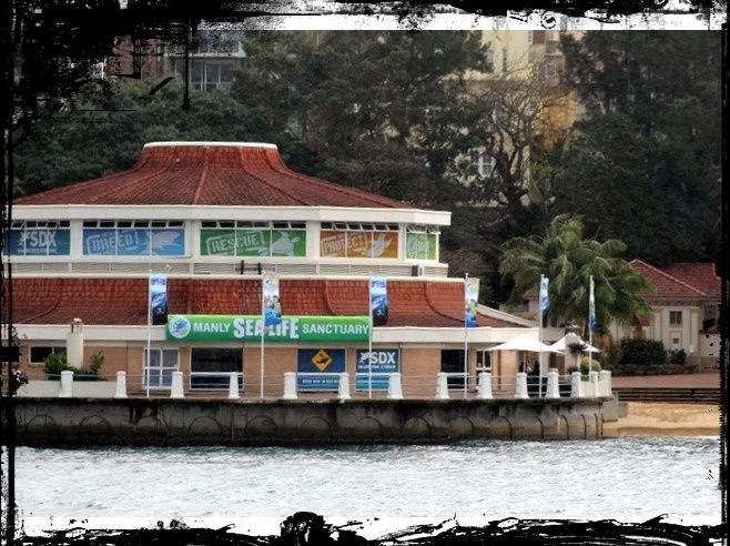 manly 10