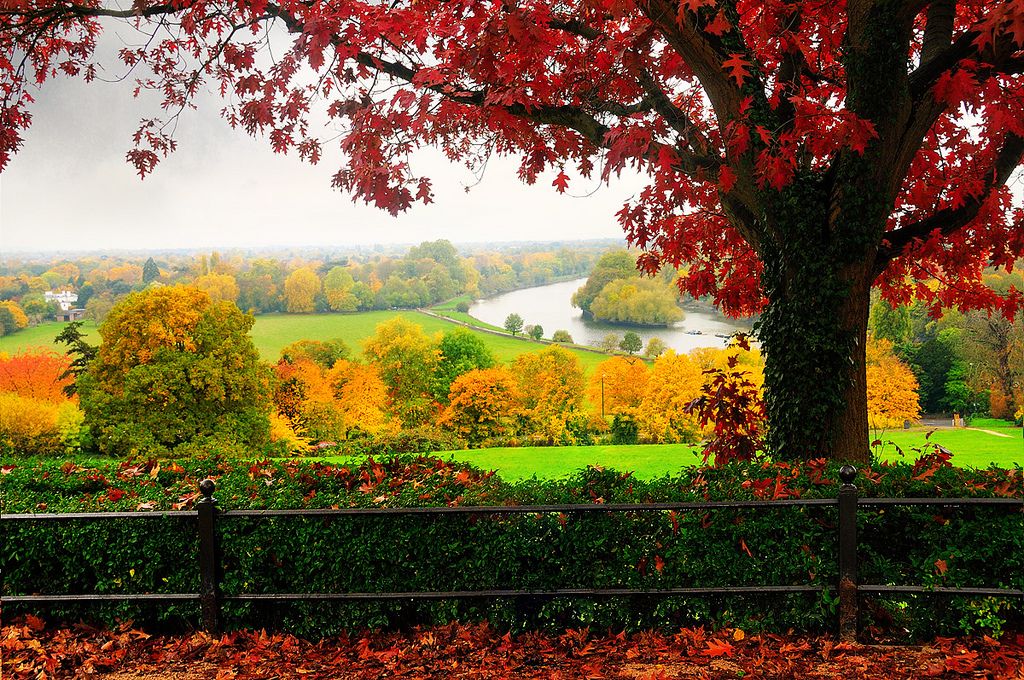 London Richmond Park