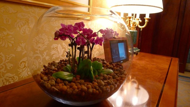 Four Seasons Doha s