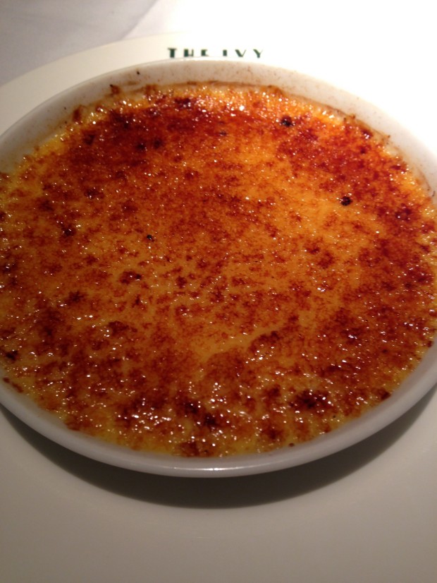  The Ivy 
