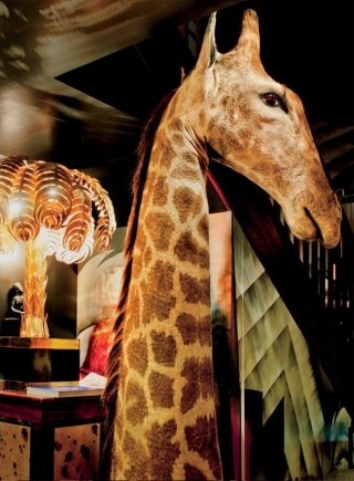 Loulou's Madagascan Bar