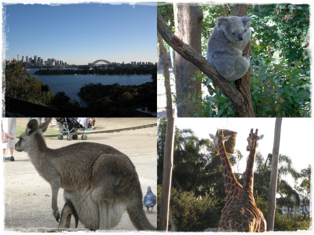 Sydney