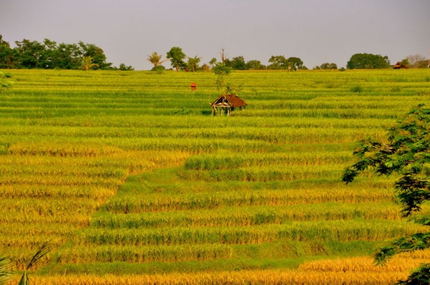 Amandari Bali