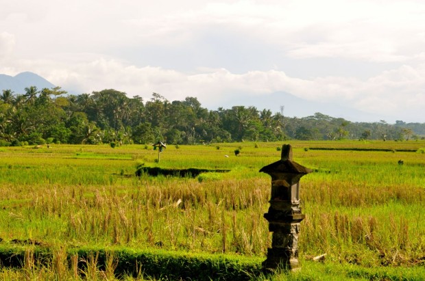 Amandari Bali