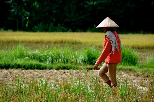 Amandari Bali