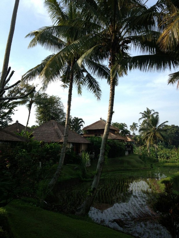 bali-suíte-vista-620x826