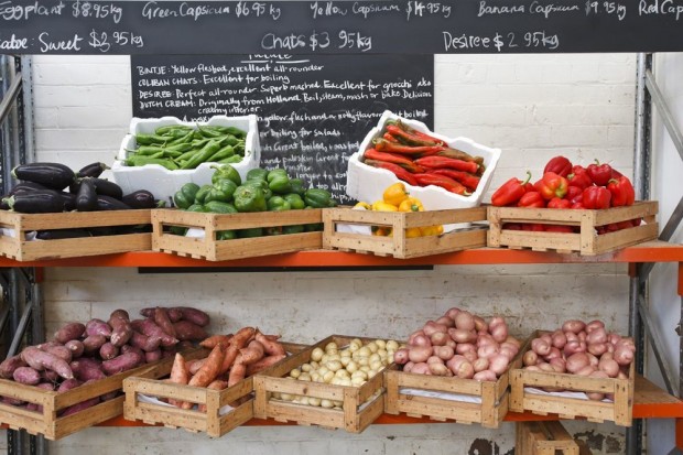 Fratelli Fresh Sydney market