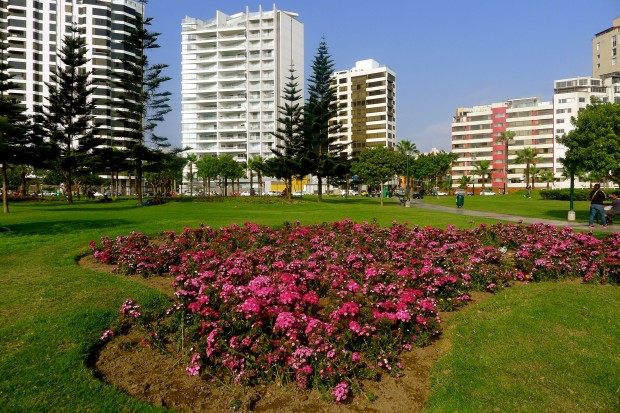 Lima 10