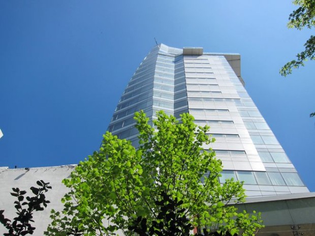 The Standard 