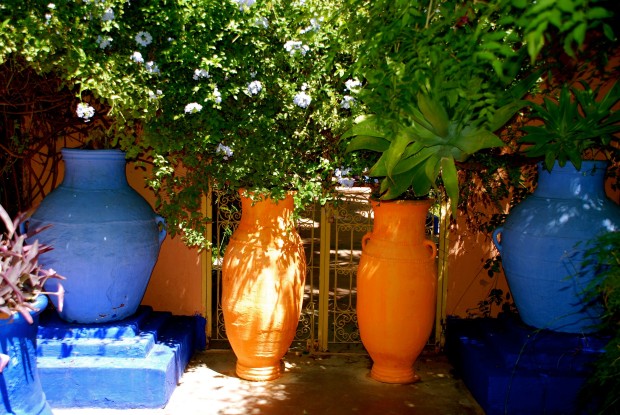 Jardin Majorelle 18
