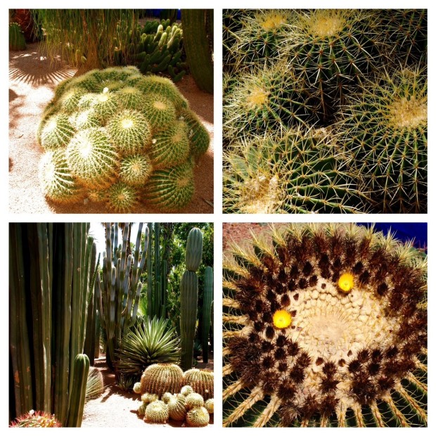 Jardin Majorelle