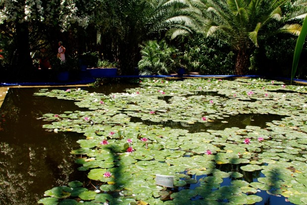 Jardin Majorelle