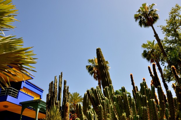 Jardin Majorelle