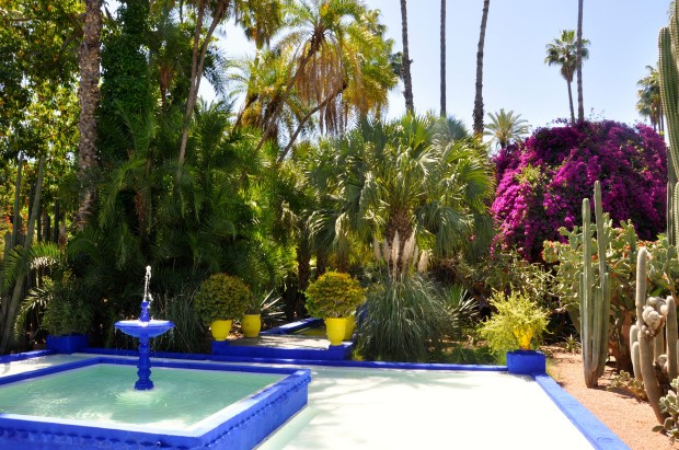 Jardin Majorelle