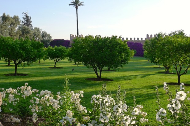 La Mamounia