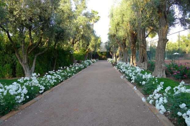 La Mamounia