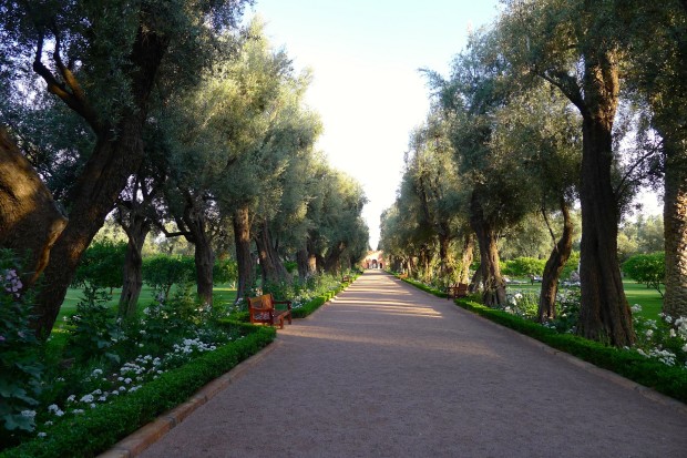 La Mamounia