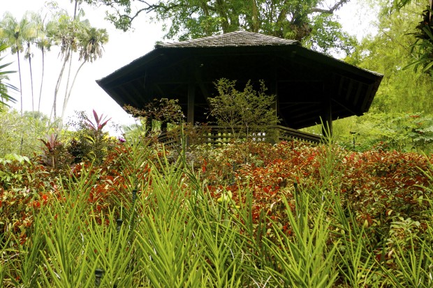Singapura 62