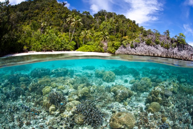papua_nova_guiné_