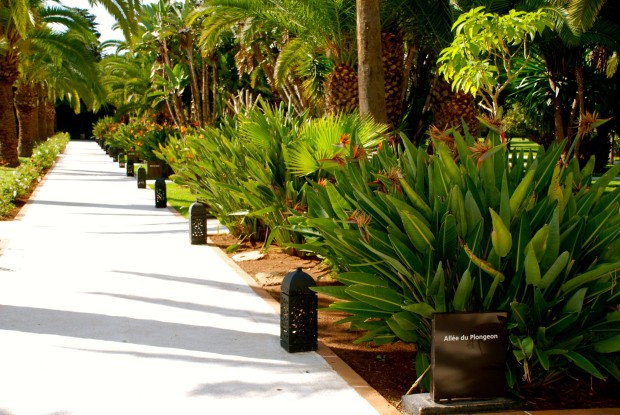 Rabat 