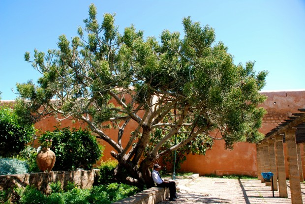 Rabat 