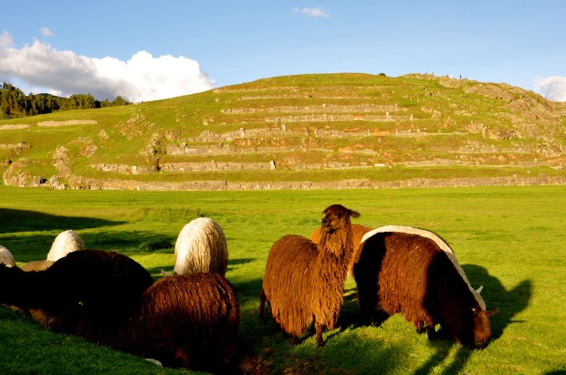 Cusco 