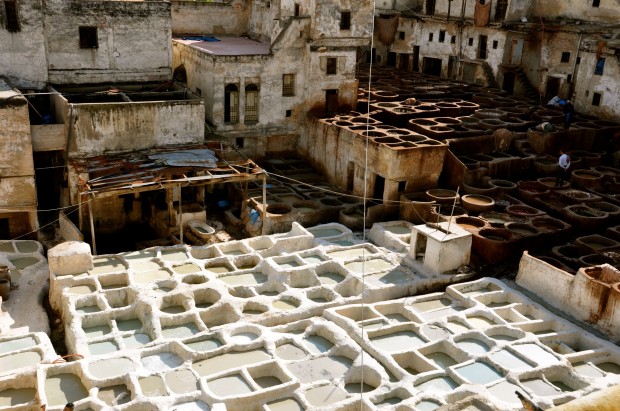 Fes 