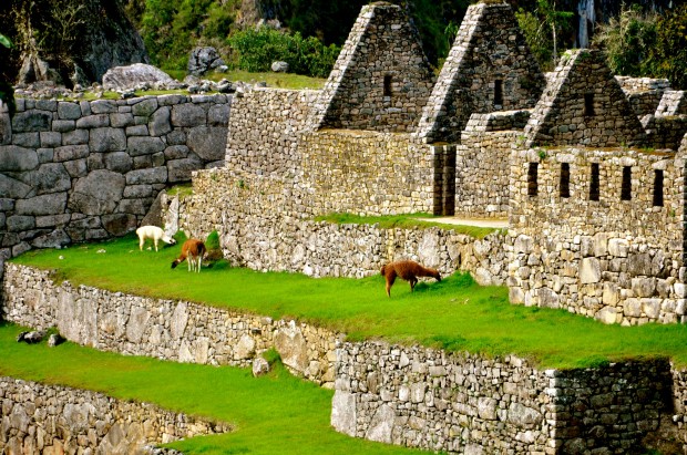 Machu Picchu