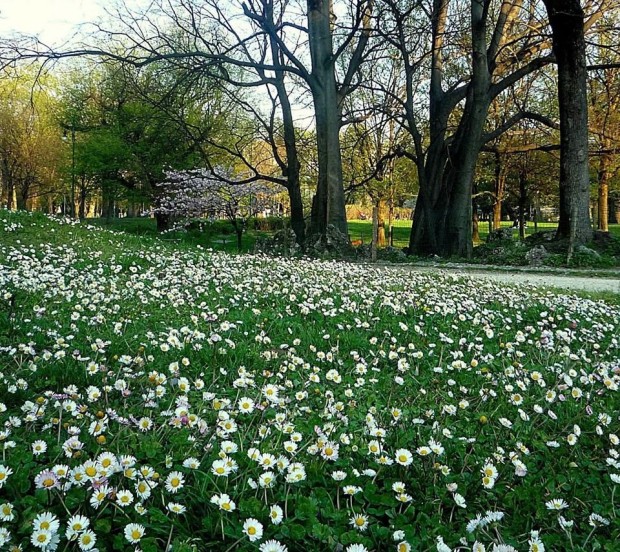 Parque