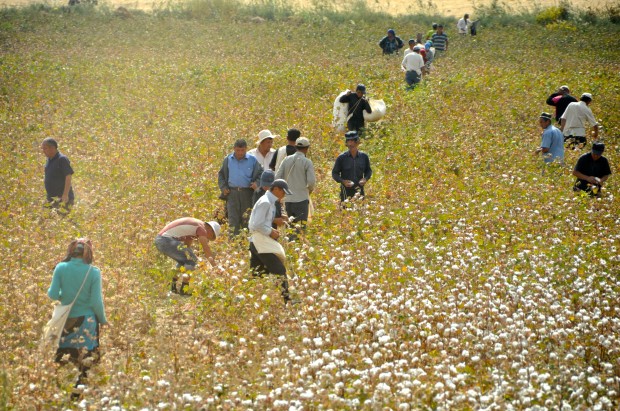 Uzbek