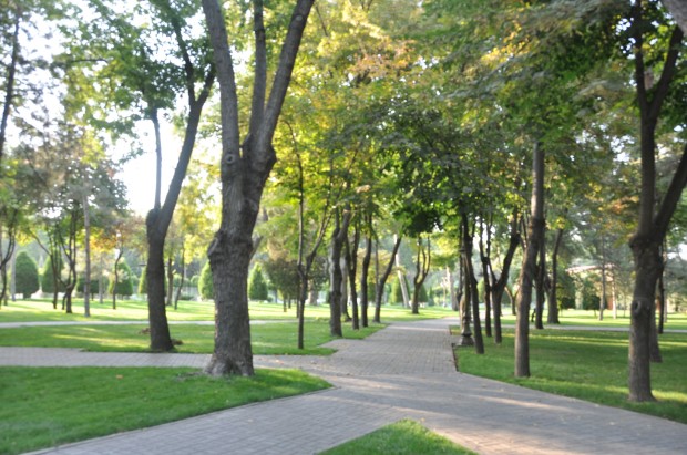 Tashkent