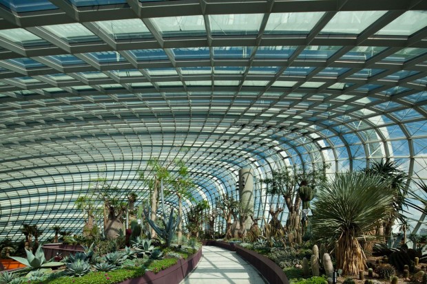 Gardens_by_the_bay_1