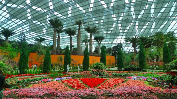 Gardens_by_the_bay_14