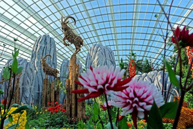 Gardens_by_the_bay_18