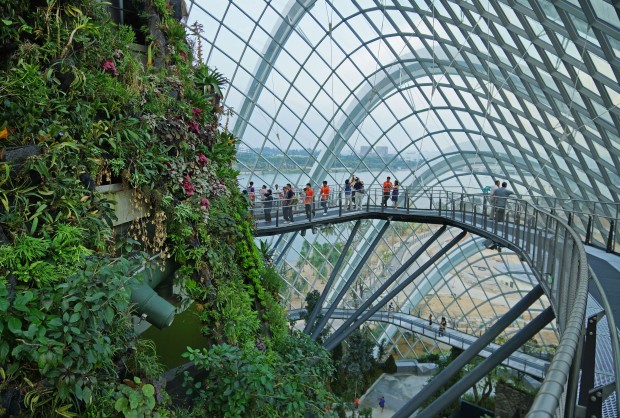 Gardens_by_the_bay_2