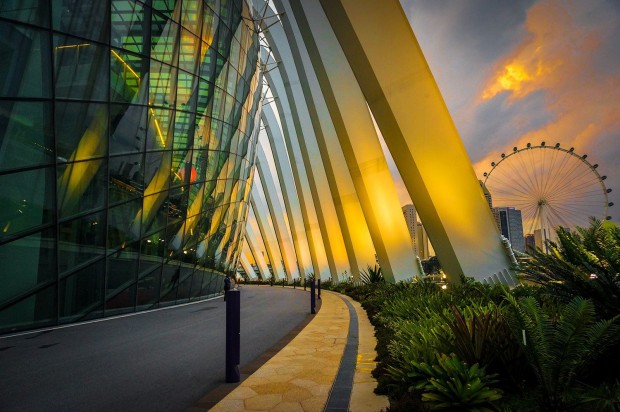 Gardens_by_the_bay_21