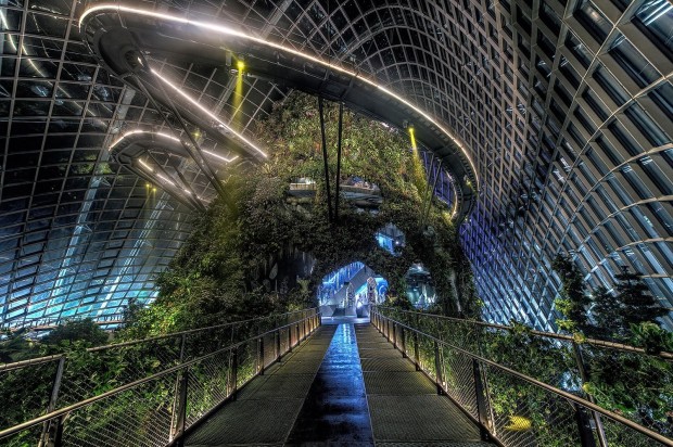 Gardens_by_the_bay_24