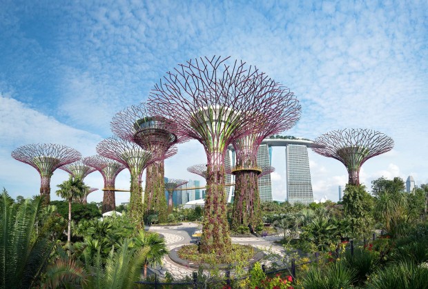 Gardens_by_the_bay_29