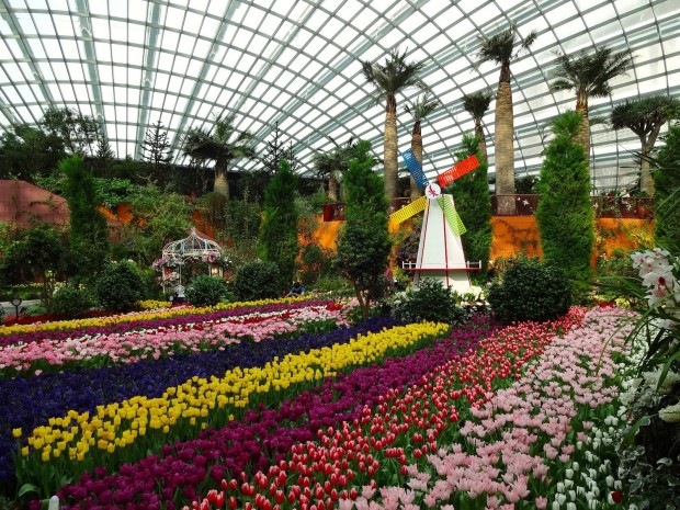 Gardens_by_the_bay_3