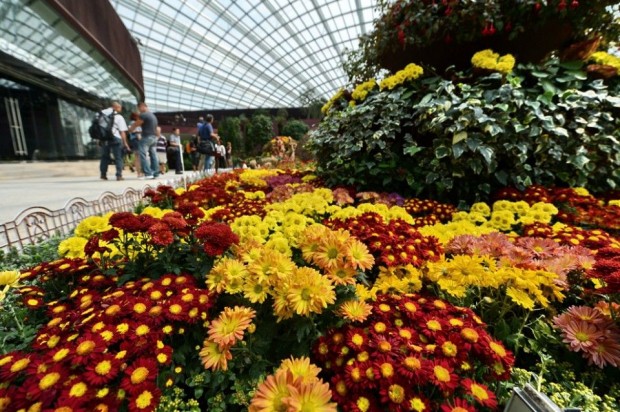 Gardens_by_the_bay_7