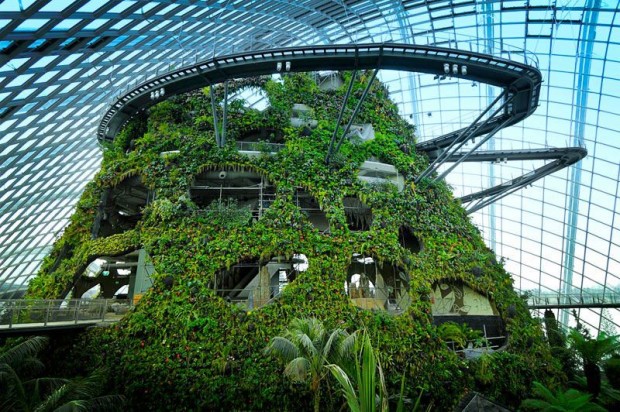 Gardens_by_the_bay_8